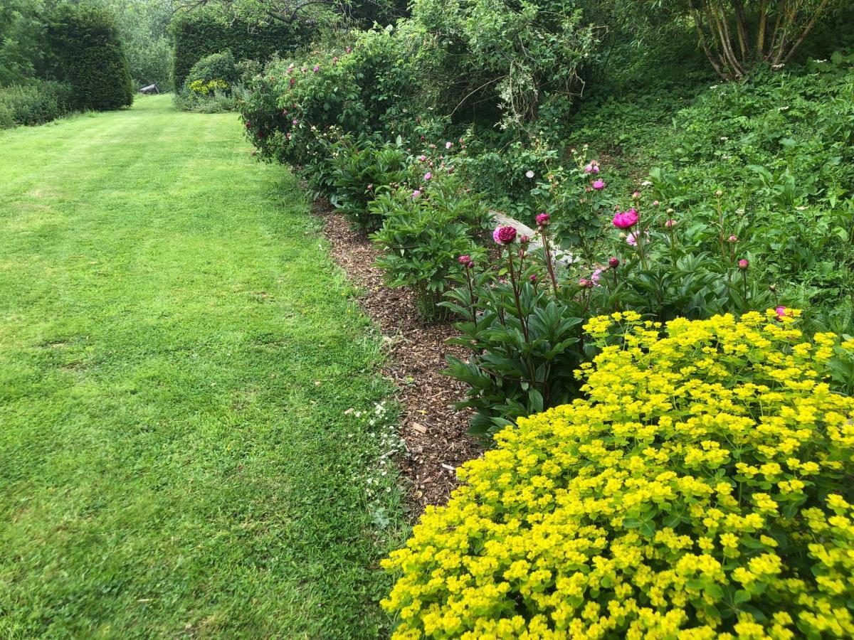 Jasmine Cottage Frome Buitenkant foto